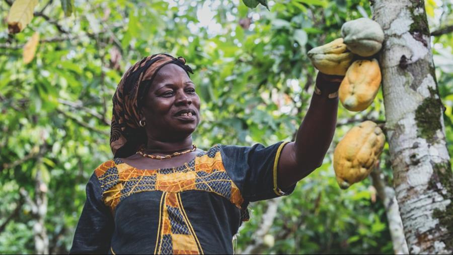 PURATOS LÈVE DES FONDS AU PROFIT DES CULTIVATEURS DE CACAO DANS LE MONDE ENTIER