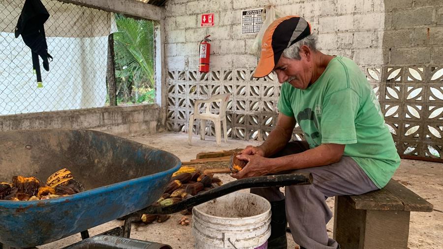 Des étudiants ouvrent les yeux lors d'un voyage cacao au Mexique