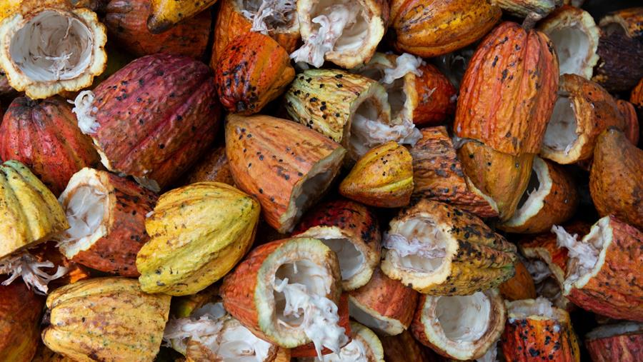 Votre entreprise signe-t-elle également le partenariat Beyond Chocolate?