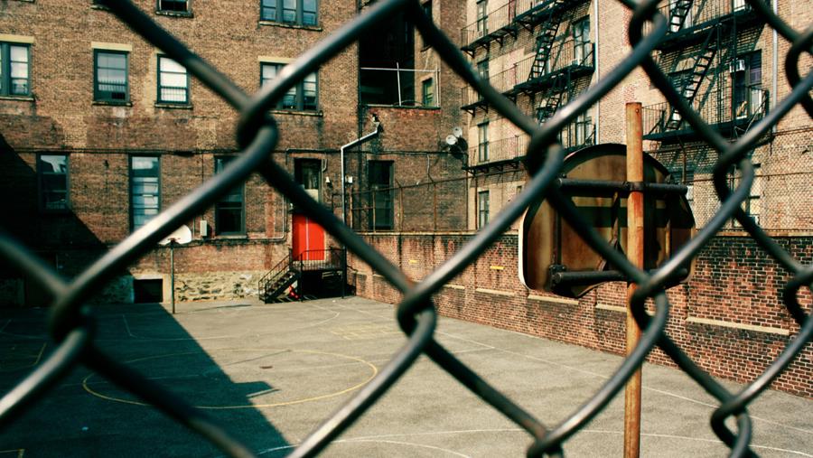 Legionellose komt ook in Vlaanderen voor