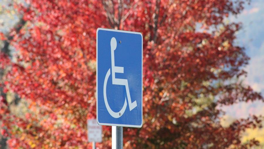 Bijstand personen met een handicap na medisch oordeel
