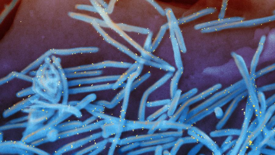 RSV-immunisatie voor het seizoen 2025-2026