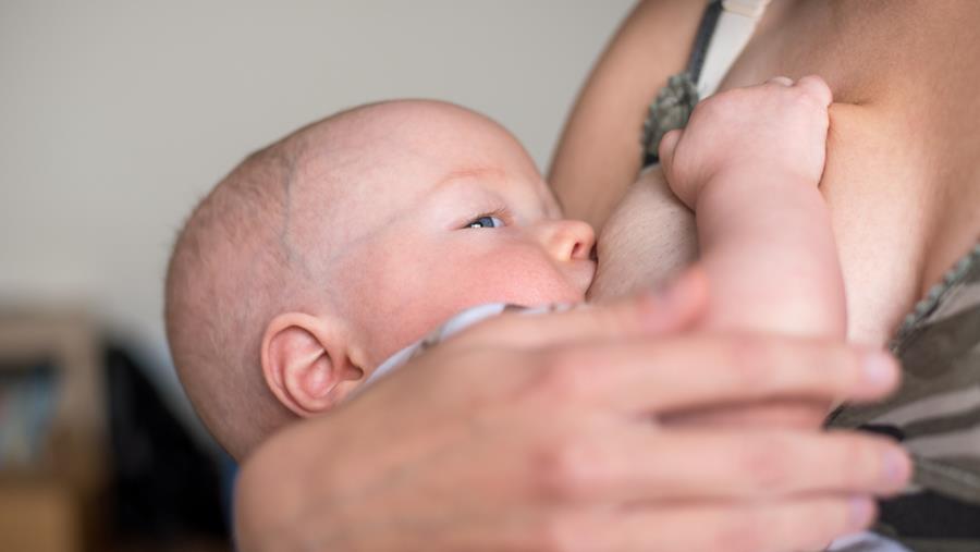 La grossesse et l'allaitement maternel protègent du cancer du sein