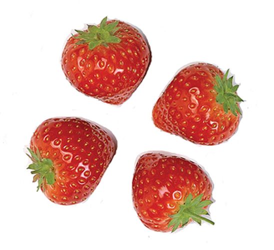 Fraises belges: produit du terroir excellent