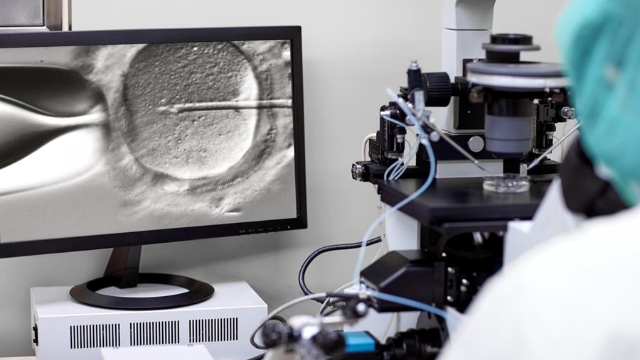 "Un projet de loi menace l'accès aux dons de sperme et d'ovules" (BSRM)